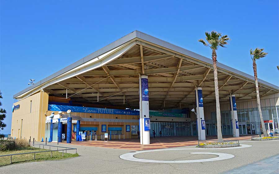 新江の島水族館