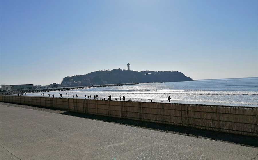 新江の島水族館