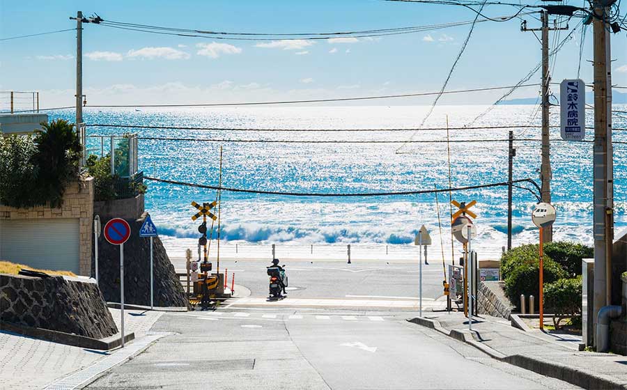 新江の島水族館